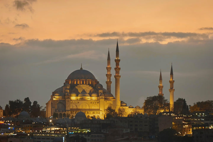 A group of friends navigating Istanbul's bustling bazaars and picturesque neighborhoods with the help of their local driver-guide